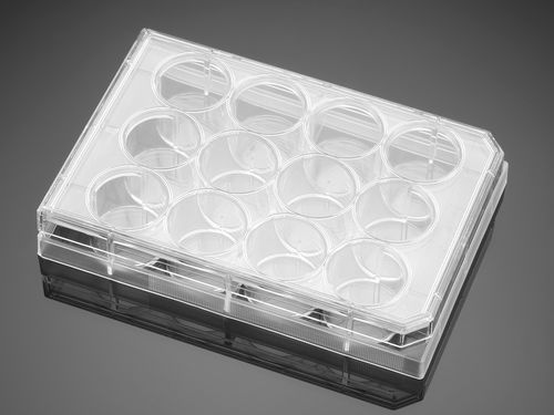 Microplaca para las ciencias de la vida - 351143  - Corning BV - de cultivo celular / de 12 orificios