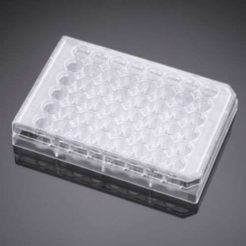 Microplaca para las ciencias de la vida - 351178 - Corning BV - de cultivo celular / de 48 orificios