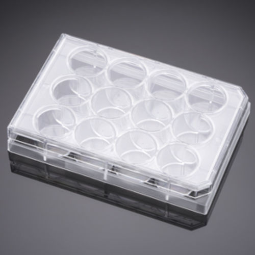 Microplaca para las ciencias de la vida - 353043  - Corning BV - de cultivo tisular / de 12 orificios / por plasma