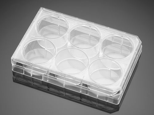 Microplaca para las ciencias de la vida - 353046  - Corning BV - de cultivo tisular / 6 pocillos / por plasma