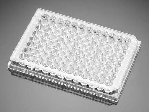 Microplaca de fluorescencia - Falcon® - Corning BV - de cultivo tisular / de 96 orificios / de superficie
