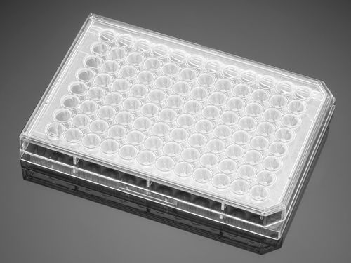 Microplaca de fluorescencia - 351177  - Corning BV - de 96 orificios / de superficie