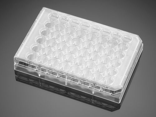Microplaca de laboratorio - Falcon® - Corning BV - de cultivo tisular / de 48 orificios / por plasma