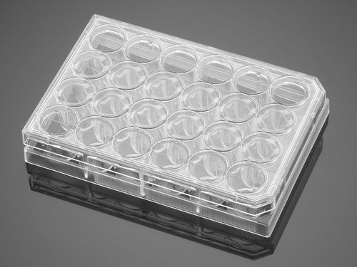 Microplaca de laboratorio - Falcon® - Corning BV - de cultivo celular / de 24 orificios