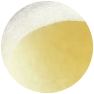 Agente hemostático pad - TERACEL® - KATSAN Medical Devices