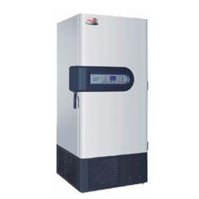 Congelador de laboratorio - UL486 - MAAN Medical & Laboratory - de tipo armario / con 1 puerta / de ultrabaja temperatura