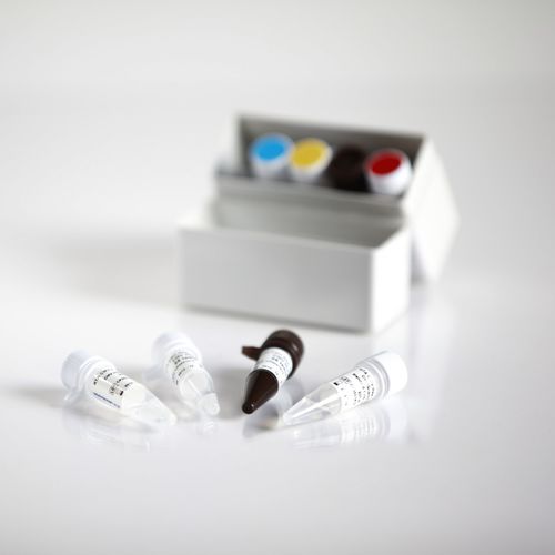 Kit de prueba de hepatitis B - 09011025 - RTA Laboratories - VHB / clínico / de suero