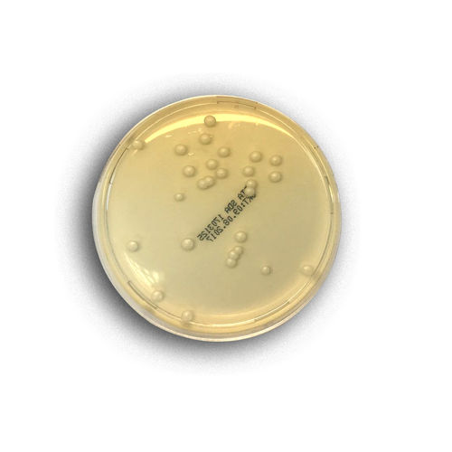 Medio reactivo - 02044 - RTA Laboratories - para aislamiento bacteriano / para el cultivo fúngico / de Candida albicans