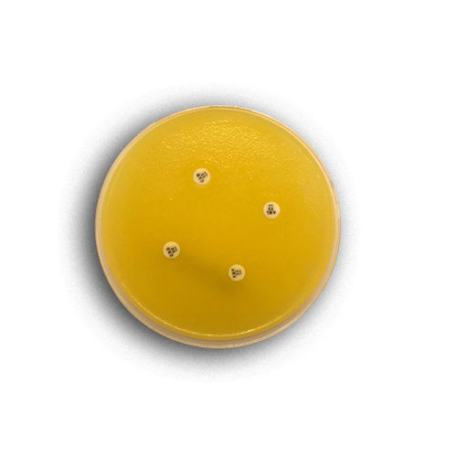 Medio reactivo - 02057 - RTA Laboratories - para aislamiento bacteriano / para el cultivo bacteriano / para la industria farmacéutica