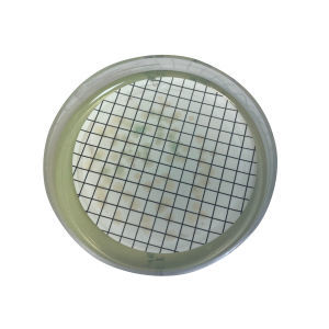 Reactivo gel de agar - 06217 - RTA Laboratories - para microbiología / de Pseudomonas aeruginosa