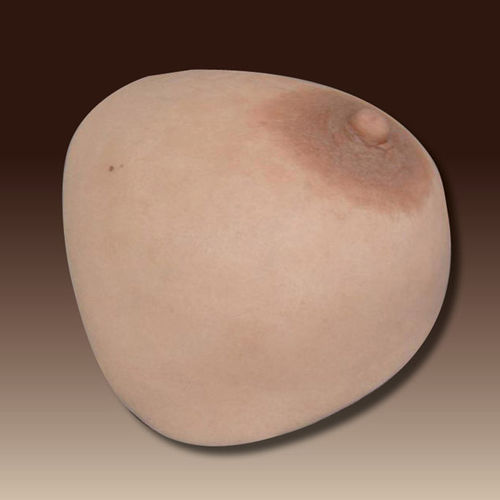 Prótesis estética esterna mamaria - schubert and braun prothesenwerk - para adulto