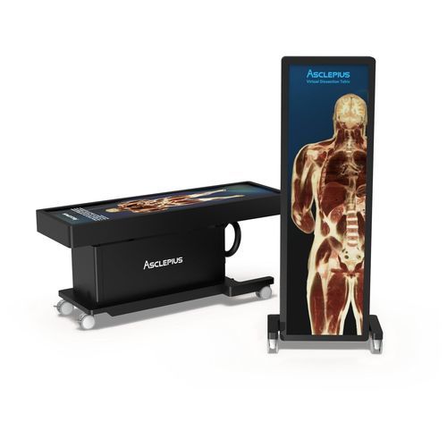 Mesa de anatomía para formación - TBK 84 EA - Taiwan Main Orthopaedic Biotechnology - entrenamiento de anatomía / formación clínica / cación médica