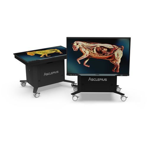 Mesa de anatomía para formación - TBK-65 - Taiwan Main Orthopaedic Biotechnology - de disección virtual / móvil / de altura variable