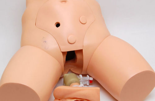 Simulador de cateterismo urinario - Cathi - Remedy Simulation Group - para cuidados urológicos / femenino / de pelvis