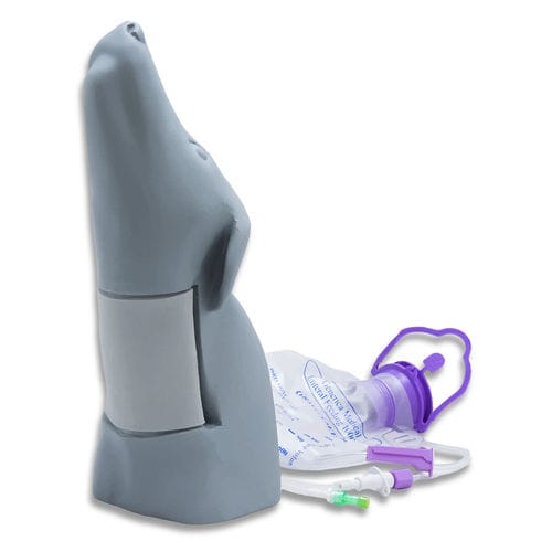 Simulador de formación - SurgiReal Products - para acceso vascular / canino / de cabeza