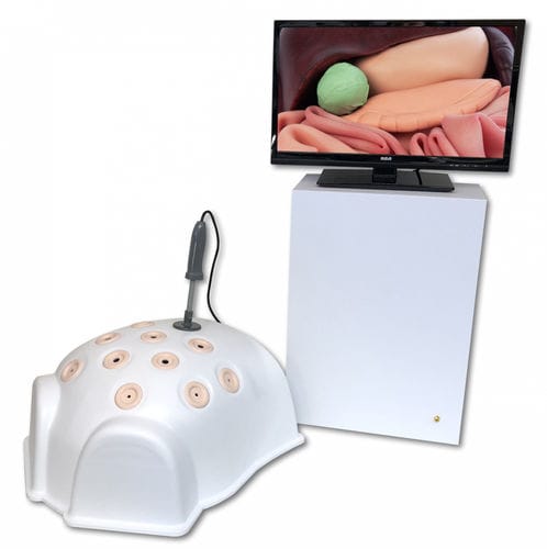 Simulador para cirugía mínimamente invasiva - T12-HD - 3-Dmed - para laparoscopia / pantalla / estación de trabajo