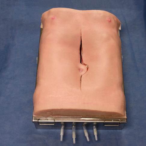 Simulador de aneurisma de aorta abdominal - 3-Dmed - de formación / para sutura / para atención general