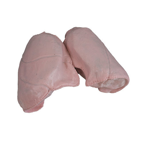 Modelo anatómico de pulmón - 1301 series - SynDaver Labs - quirúrgico / de ablación / escáner CT