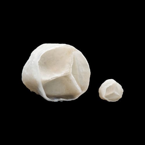 Modelo anatómico de válvula aórtica - 130630 - SynDaver Labs - de punción / de formación / de ablación