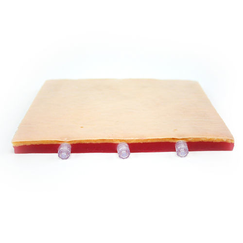 Simulador de formación - 160550 - SynDaver Labs - de formación / de cateterismo / de disección