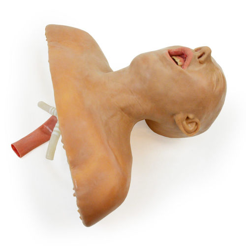 Simulador de formación - 160410 - SynDaver Labs - de formación / para la gestión de las vías respiratorias / de intubación