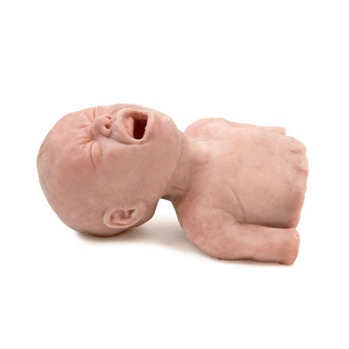 Simulador de formación - 160420 - SynDaver Labs - para la gestión de las vías respiratorias / de intubación / para atención general