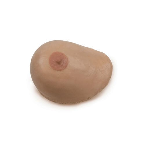 Modelo anatómico de mama - 160650 - SynDaver Labs - de formación / de palpación