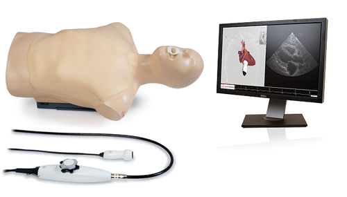 Simulador para ecocardiografía - Dual - Inventive Medical Limited - de torso / asistido por ordenador