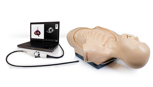 Simulador para ecocardiografía - TEE  - Inventive Medical Limited - de torso / asistido por ordenador