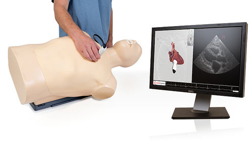 Simulador para ecocardiografía - TTE - Inventive Medical Limited - de torso / asistido por ordenador