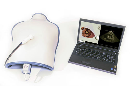 Simulador para ecocardiografía - TTE mobile - Inventive Medical Limited - de torso / asistido por ordenador