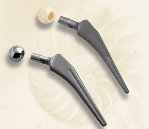 Vástago femoral no cementado - BA - Biotech Medical