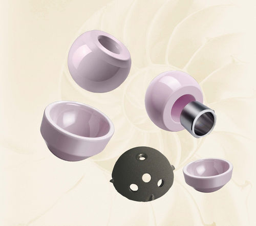 Prótesis de cabeza femoral - 016-1311-2800 - Biotech Medical