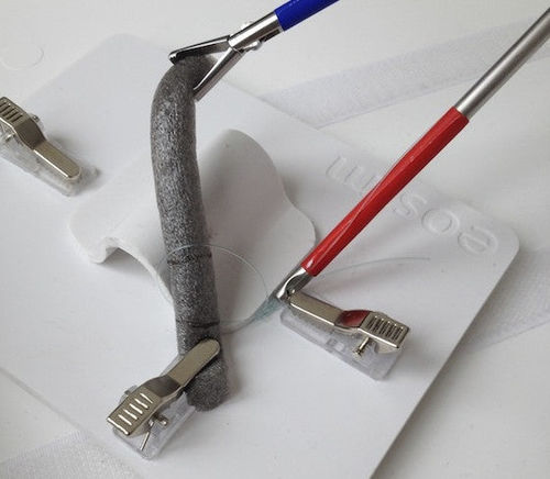 Simulador de formación - Appendix / Salpinx x10 - eoSurgical - para atención general / de espuma