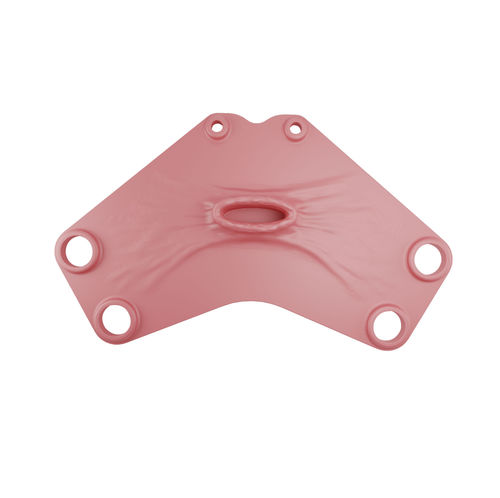 Modelo anatómico vaginal - 00000376 - Inovus Medical - de cirugía / de formación / de histerectomía