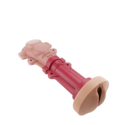 Modelo anatómico vaginal - 00001359 - Inovus Medical - cervical / de útero / de cirugía