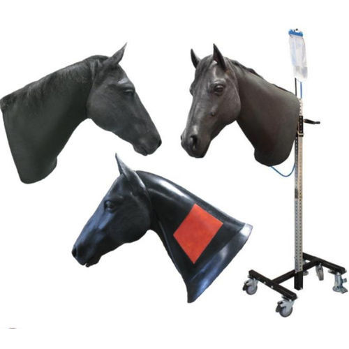 Modelo anatómico de cabeza - Veterinary Simulator Industries - veterinario / de inyección intramuscular / de punción venosa