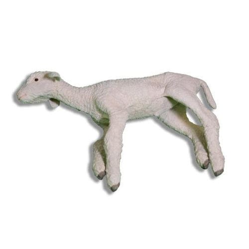 Maniquí de prácticas veterinario - Veterinary Simulator Industries - oveja / blanco
