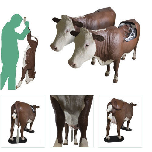 Simulador de distocia - Veterinary Simulator Industries - para la atención veterinaria / de bóvido / de cuerpo entero