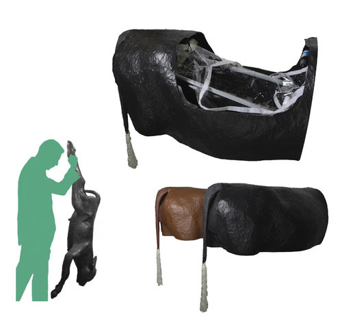 Simulador de distocia - Veterinary Simulator Industries - veterinario / de bóvido / de pelvis