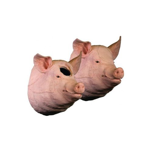 Simulador de formación - Veterinary Simulator Industries - veterinario / cerdo / de cabeza
