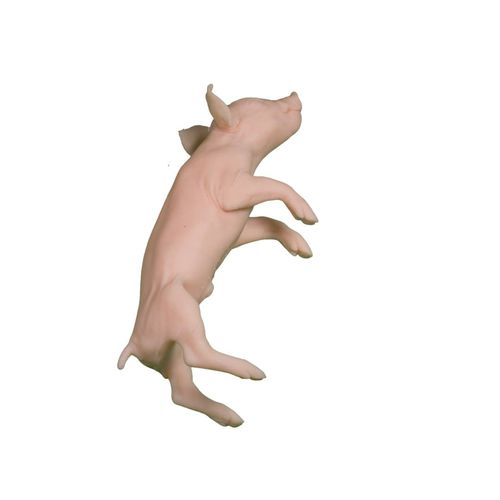 Maniquí de prácticas veterinario - Veterinary Simulator Industries - cerdo / rosa