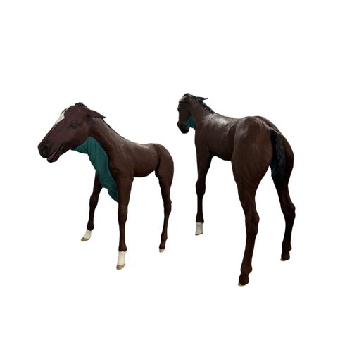 Maniquí de prácticas veterinario - Veterinary Simulator Industries - de palpación / para intubación / de distocia