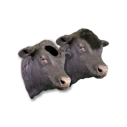 Simulador de demostración - Veterinary Simulator Industries - veterinario / de bóvido / de cabeza