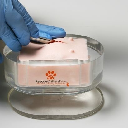 Maniquí de prácticas de ovariohisterectomía - 255 - Rescue Critters - para atención general / femenino / canino