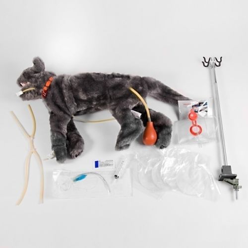 Maniquí de prácticas para cuidados intensivos - FLUFFY - Rescue Critters - para RCP / para vendaje de pacientes / de felino