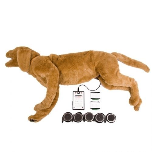 Simulador de auscultación - GOLDIE  - Rescue Critters - de respiración / veterinario / de estenosis