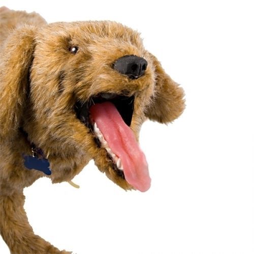 Maniquí de prácticas veterinario - Jerry K-9 - Rescue Critters - para RCP / para vendaje de pacientes / de perro