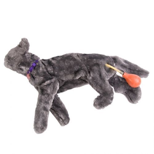 Maniquí de prácticas veterinario - FLUFFY  - Rescue Critters - para RCP / para vendaje de pacientes / de felino