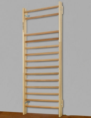 Espaldera - 262  - Artimex Sport